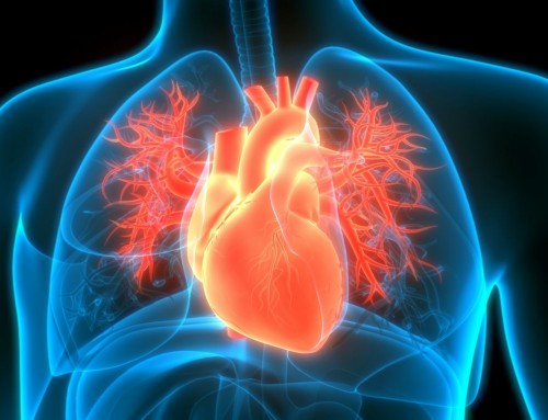 Πώς θα προλάβετε τα καρδιολογικά προβλήματα