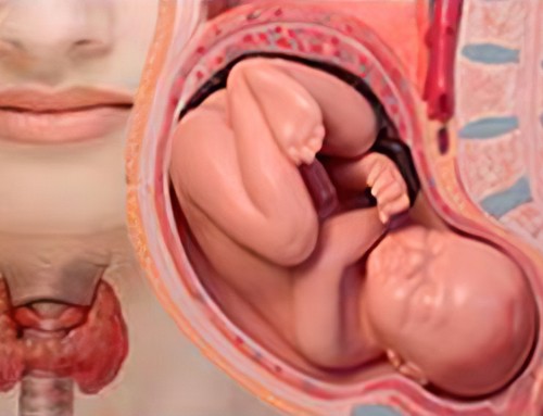 Θυρεοειδής αδένας και κίνδυνοι δυσλειτουργίας του στην εγκυμοσύνη