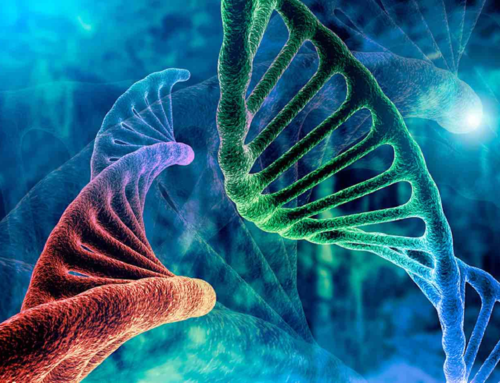 Γονίδια και αυτοανοσία: Αίτια ανάπτυξης αυτοάνοσων νοσημάτων